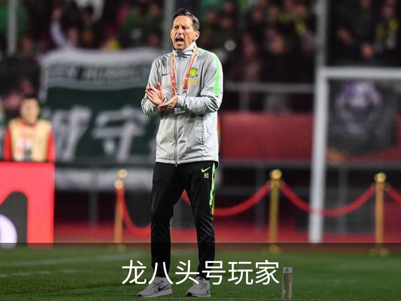 了解龙八头号玩家
